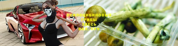 ПСИЛОЦИБИНОВЫЕ ГРИБЫ Алексин