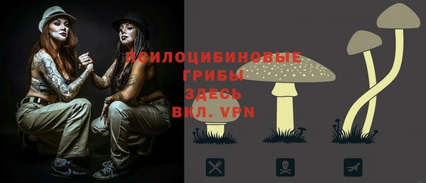 стафф Алзамай