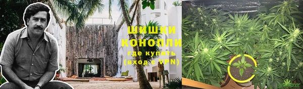 ПСИЛОЦИБИНОВЫЕ ГРИБЫ Алексин